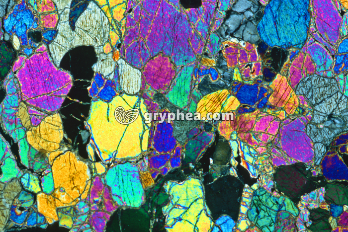 Péridotite LPA x5 - gryphea.com